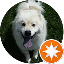 Torsten S. profile picture